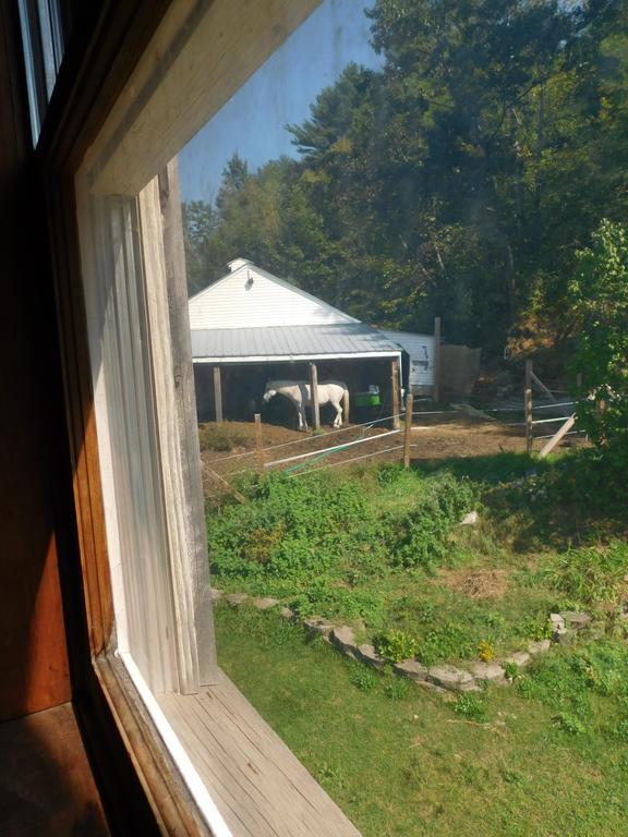 No View Farm Bed and Breakfast Rumford Buitenkant foto