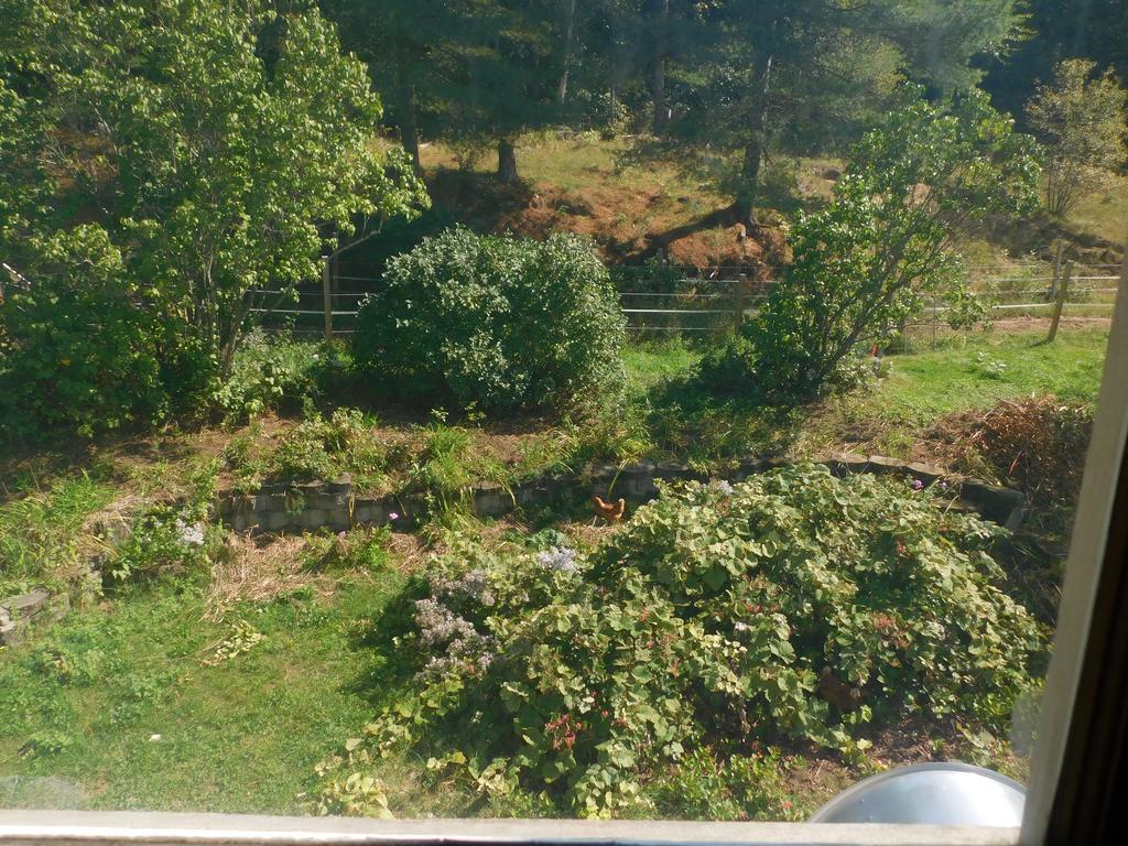 No View Farm Bed and Breakfast Rumford Buitenkant foto